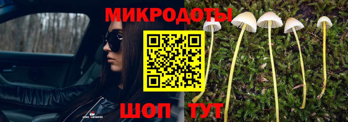 Галлюциногенные грибы Cubensis Кохма